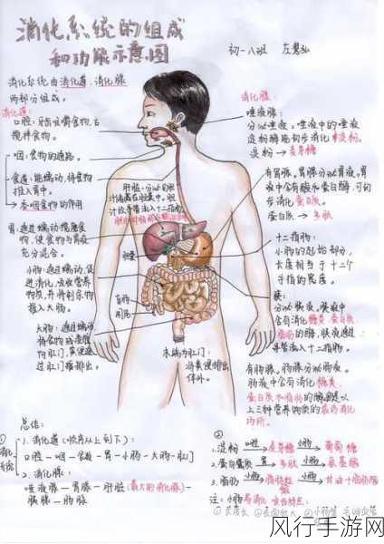 探索魔之谷的奥秘，全方位攻略指南
