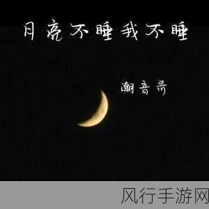 抖音热梗月亮不睡我不睡的奇妙之旅与下一句探秘