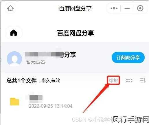 探寻百度网盘提取码的秘密，全面介绍与获取指南