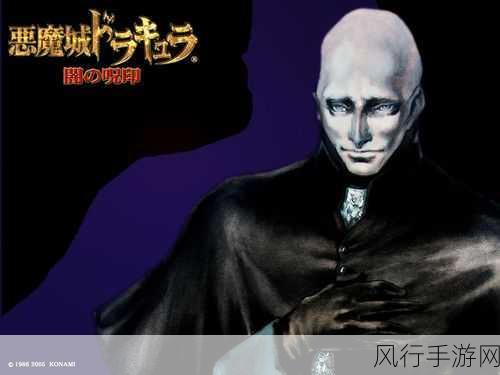 恶魔城晓月圆舞曲,探索黑色之门的神秘解法