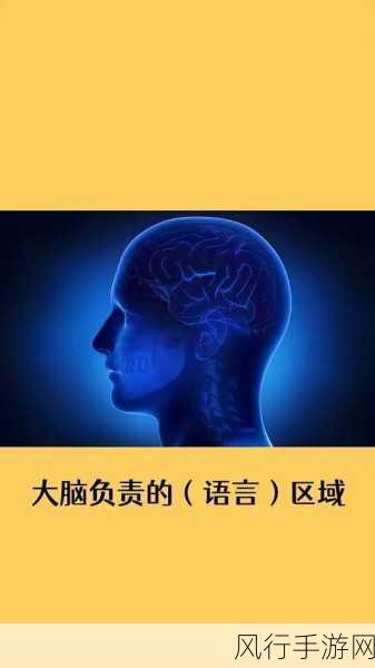指尖传递的温热3未增减-指尖传递的温热:心与心之间无声的交流与关怀
