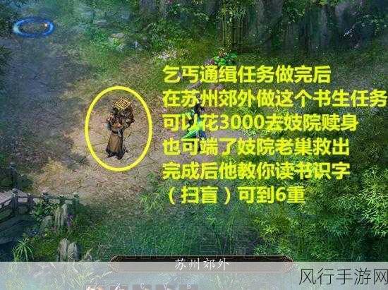 金庸群侠传5书生的婚礼任务攻略,深度解析与财经数据
