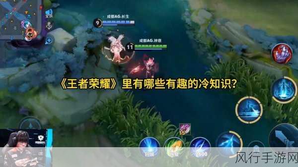 王者荣耀,揭秘八成玩家未曾触及的冷知识与财经奥秘