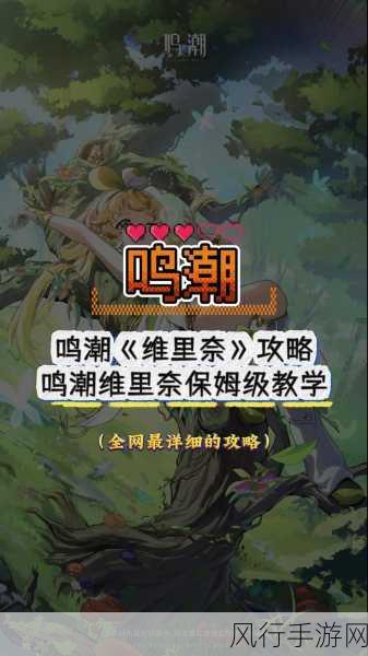 天国拯救死无对证完美攻略-天国拯救：完美攻略与全方位游戏技巧分享