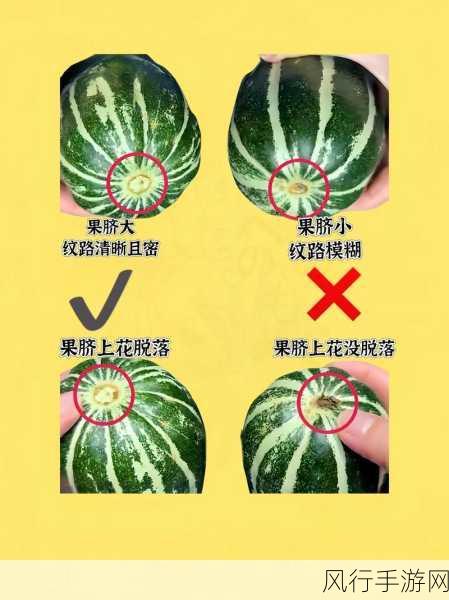 热门大瓜每日吃瓜不打烊往期回顾-每日热门大瓜盘点,精彩往期回顾不容错过!
