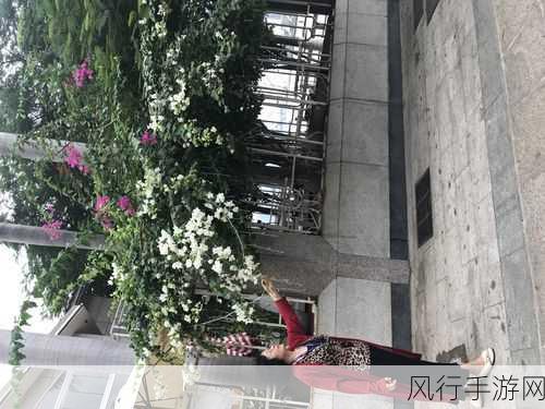 玉骨遥集数之谜,一场精彩之旅的长度探寻