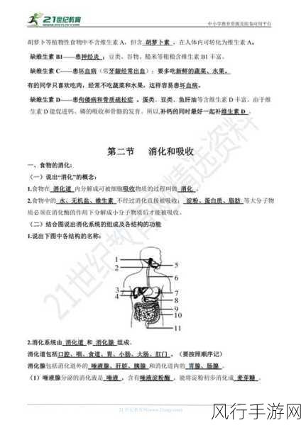 jy收集系统白清素-全面提升jy收集系统的白清素优化方案与实施策略