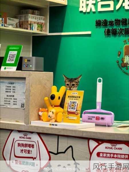 yw193龙物失联转接口2024-探索YW193龙物失联转接口2024的全新发展与应用前景