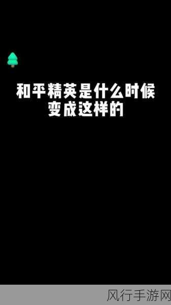 2024和平精英流失了多少玩家-2024年和平精英玩家流失情况分析与影响探讨