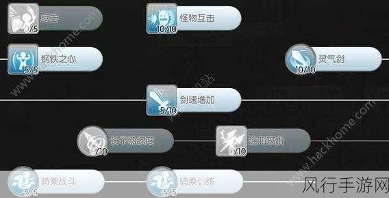 仙境传说RO战神崛起,骑士加点策略,解锁冒险新篇章的财富密码