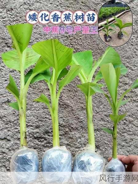 香蕉传媒文化有限公司招聘-拓展香蕉传媒文化有限公司诚聘各类优秀人才，共创辉煌未来！