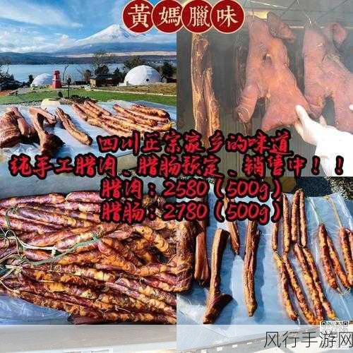 四川XXXXXLmedjyf77777-四川美食探索：深度挖掘地道风味与文化魅力