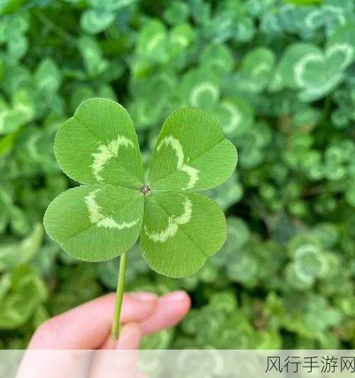 四叶草研究所免费隐藏入口-探索四叶草研究所的秘密：免费隐藏入口大揭秘！