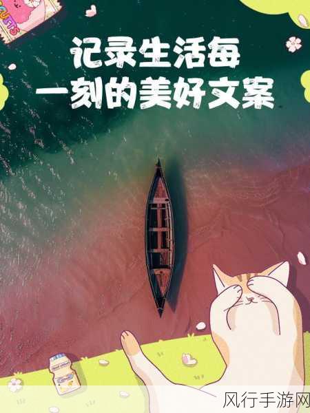 我爱搞502-热爱搞502，享受生活每一刻的乐趣与挑战