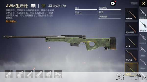 和平精英AWM，枪械之王的经济价值与使用技巧深度剖析