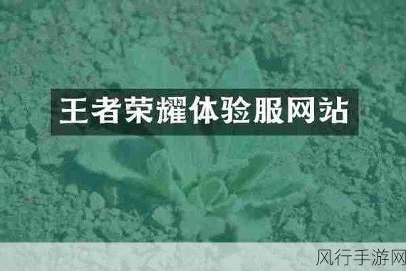 王者荣耀体验服资源包升级失败了-王者荣耀体验服资源包升级失败,如何解决此问题?