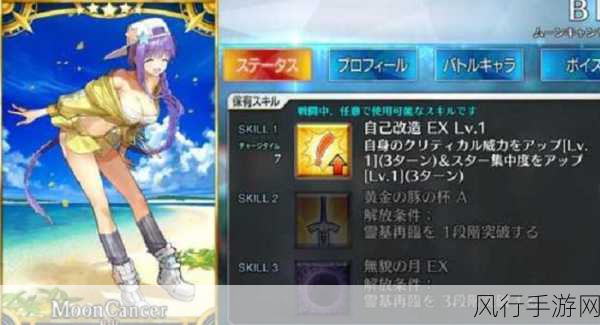 FGO泳装三期活动深度攻略,高效刷取策略与财经数据解析