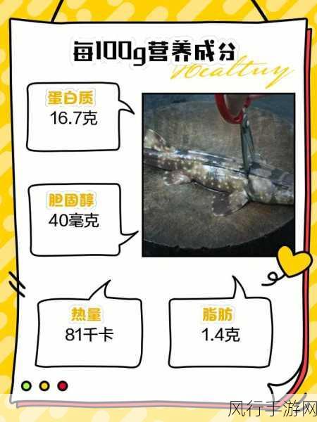 人狗胶配方大全及功效说明书-全面解析人狗胶配方及其健康功效详解