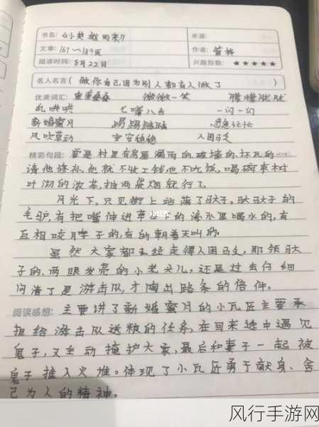 征服炉石传说英雄之书瓦莉拉古加尔的致胜秘诀