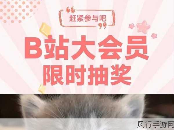 b站免费必-必看！B站超福利：免费获取热门资源的秘诀分享