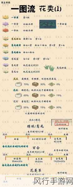桃源深处有人家，解锁花圃种植新篇章