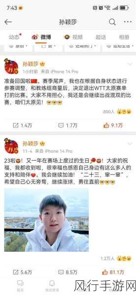 王楚钦微博取关了孙颖莎-王楚钦在微博上取关孙颖莎，引发网友热议与猜测