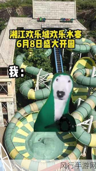 畅玩地下城与勇士趣味减压桶，释放无限欢乐