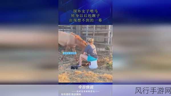 17cc网黑料爆料下载-探索17cc网黑料爆料下载的隐藏真相与精彩内容