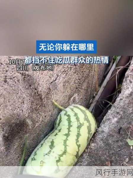 吃瓜有理爆料无罪-“吃瓜群众有理，爆料行为无罪，言论自由应被尊重”