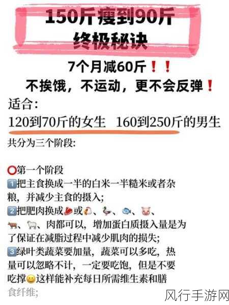 成为移箱达人的终极秘诀