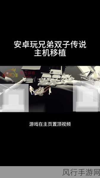 兄弟,双子故事终极探秘——流程攻略大揭秘