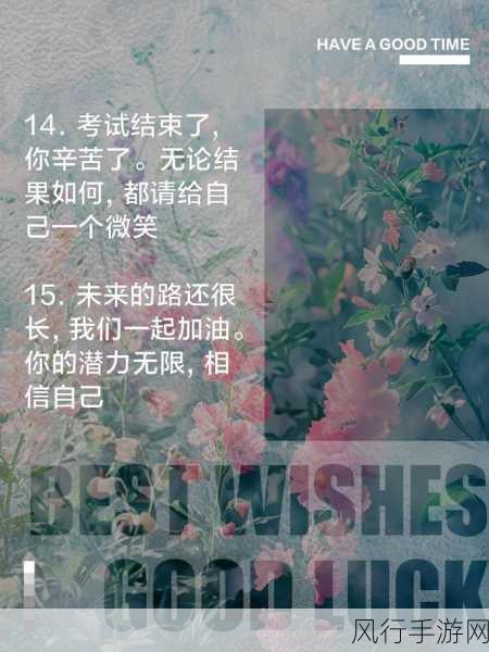 无小内-探索内心的无限可能,开启自我成长的新旅程