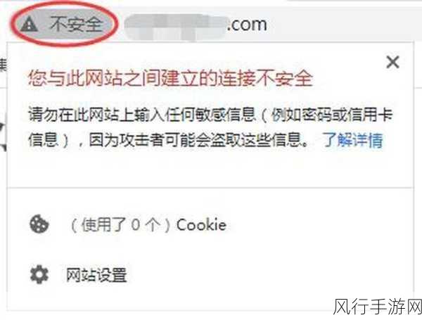不良网站进入窗口-提高网络安全意识，避免不良网站侵入您的浏览器窗口。