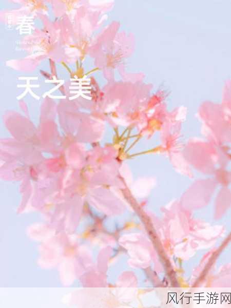 天之美传媒入口-探索天之美传媒:开启全新视界的无限可能性