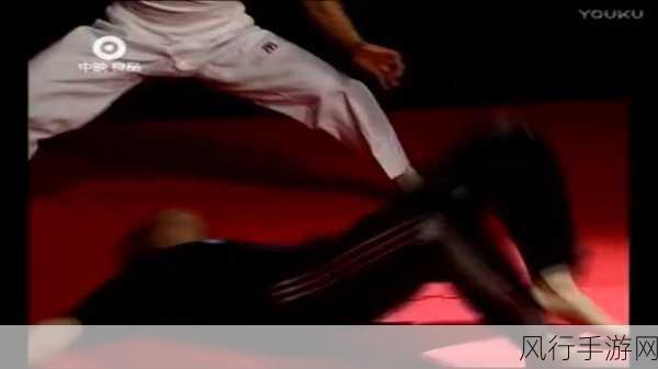 ちゃんが腿法娴熟をdio-拓展ちゃん腿法娴熟,轻松应对各种挑战与困境。