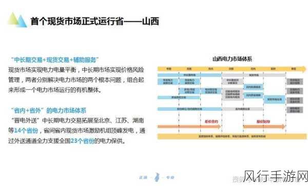 国严产品自偷-国严产品自偷：破解市场竞争的新策略与挑战