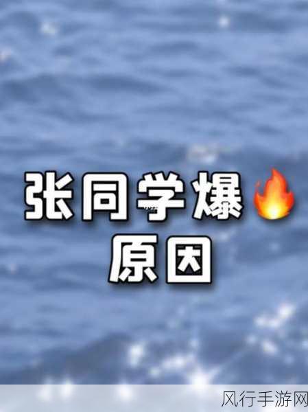 解读张同学的爆火密码