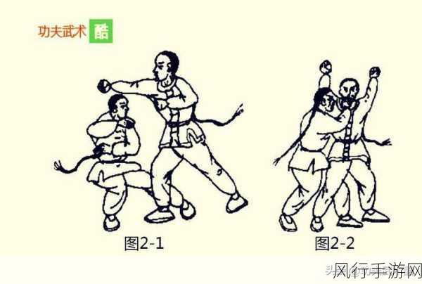七十二招式视频-七十二招式全解析：掌握传统武术的精髓与技巧