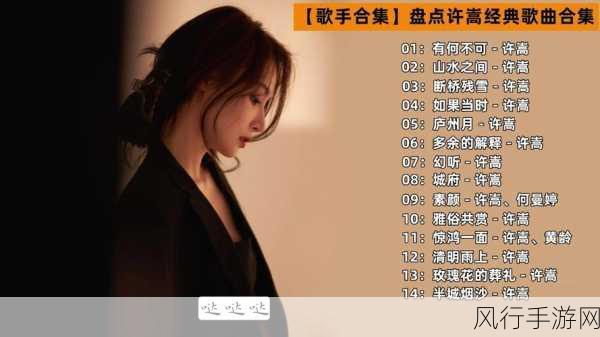 许嵩歌曲的版权是自己的还是公司的-许嵩歌曲版权归属：个人创作还是公司所有？