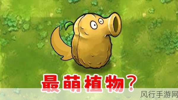 植物大战僵尸杂交版,坚果墙的全新震撼