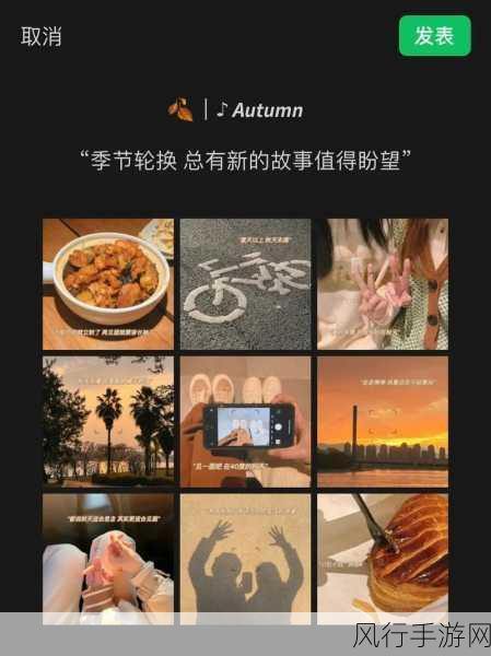家庭轮换-家庭成员轮换:共享责任与亲密关系的新方式