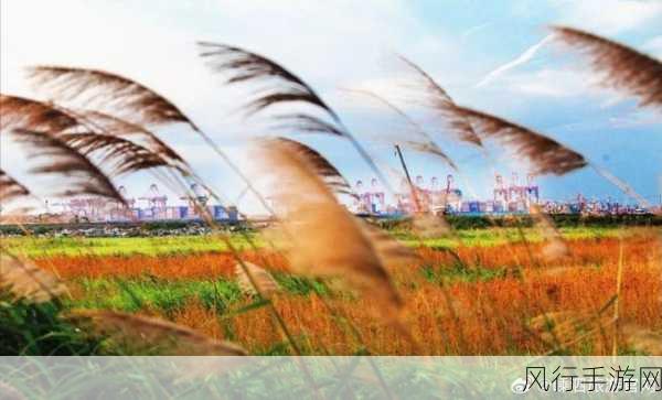 爱情岛测速一号线二号选-探索爱情岛:测速一号线与二号的全新体验之旅
