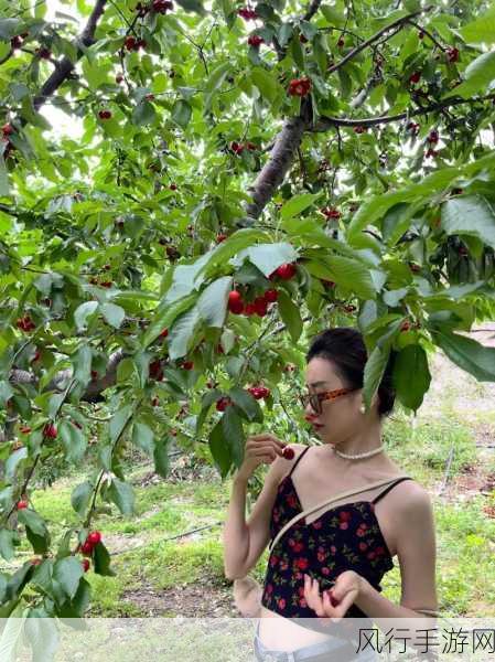 樱桃视频免费看-畅享樱桃视频,尽情观看无限精彩内容!