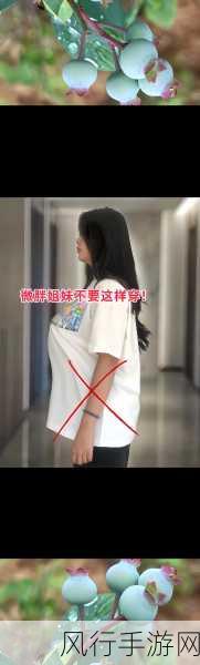 洛克王国伊拉龙获取秘籍大公开