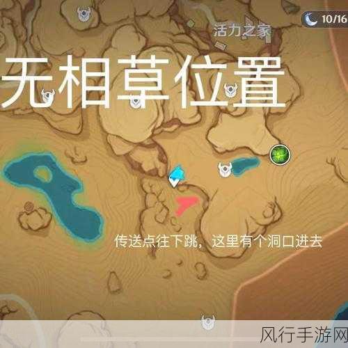 原神无相之草探寻指南,位置与获取策略