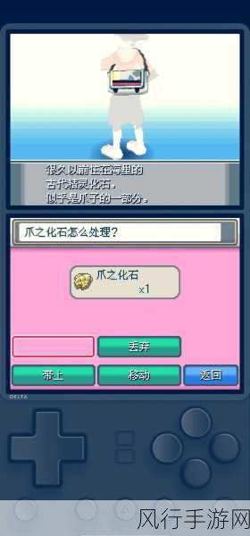 探索口袋妖怪黑白金手指的神秘世界