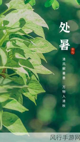 8 月 23 日,处暑时节的独特魅力