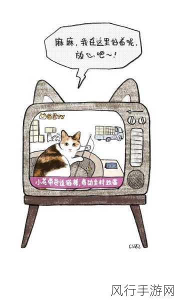 182tv路线一-“探索182tv：多元化节目线路的全新体验之旅”
