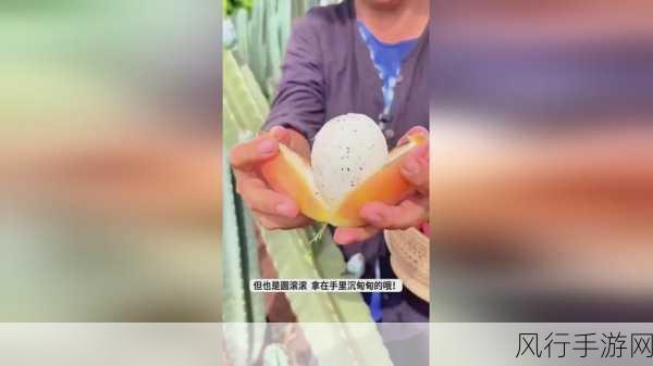 我爱搞.52G-我爱搞.52G：探索无限创意与激情的世界