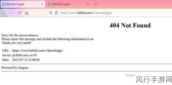 b站404 传播入口-探索B站404页面的隐藏魅力与传播新路径